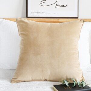 SOGA 2X 45cm Velvet Pillowcase (Champagne Beige)